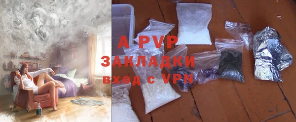 индика Алексин