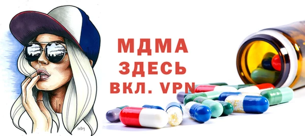 индика Алексин