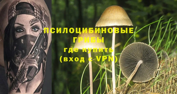 spice Вуктыл