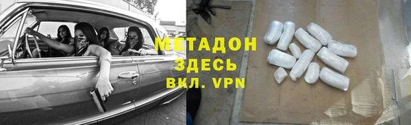 индика Алексин