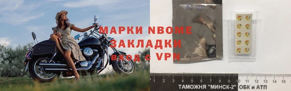 индика Алексин