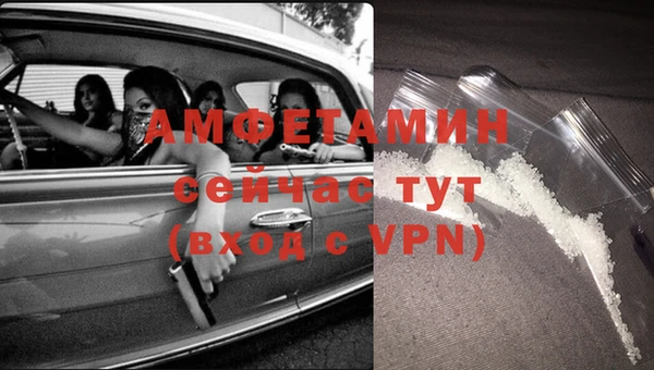 индика Алексин