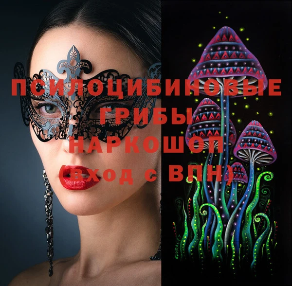 индика Алексин