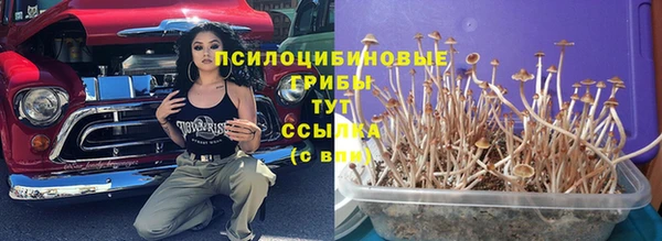 индика Алексин