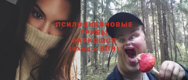 хмурый Алексеевка