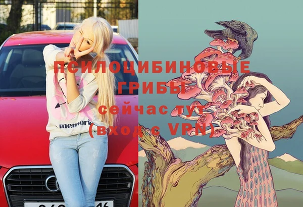 ПСИЛОЦИБИНОВЫЕ ГРИБЫ Протвино