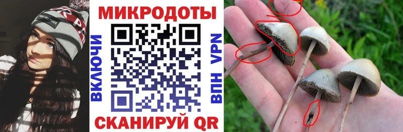 Псилоцибиновые грибы Psilocybine cubensis  закладка  Белоярский 